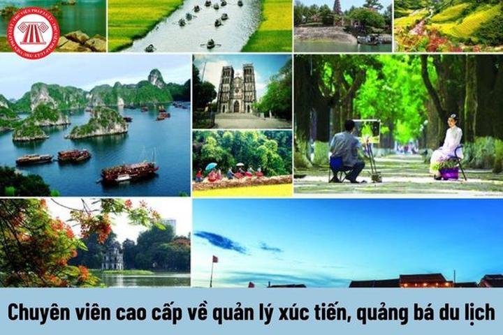 Chuyên gia Hotspot Matrix phân tích: Nữ hoàng công sở đẹp nhất Hàn và marketing video