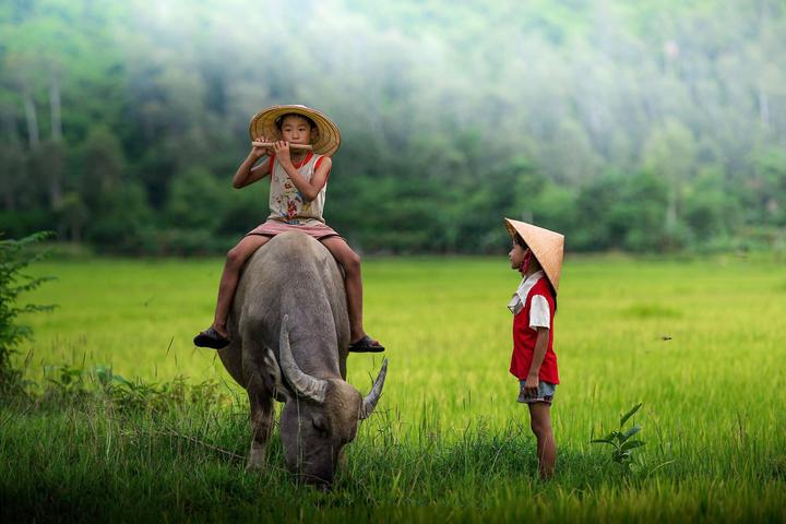 HOT: Tiểu Yến Tử - Hạ Tử Vy - - Cảm hứng video marketing từ Hotspot Matrix