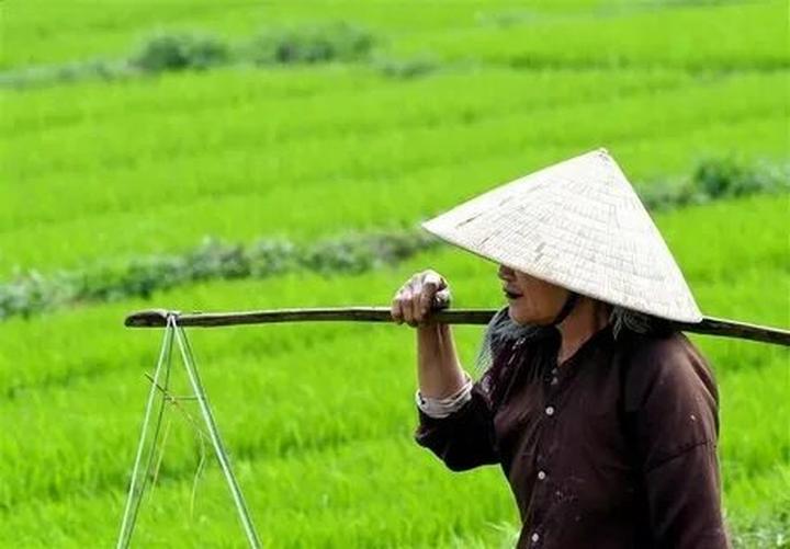 Hotspot Matrix: Giải pháp đột phá cho phân phối video ngắn đa nền tảng