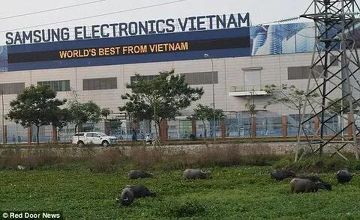 Hotspot Matrix: Biến Các nhà khoa học phân tích thành cơ hội marketing đột phá
