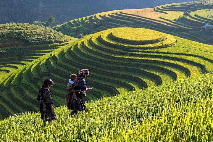 Từ Khuyết Tật Đến Triệu View: Câu Chuyện Cảm Hứng Của Tuấn Anh